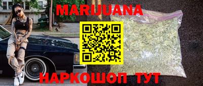 сатива Гулькевичи