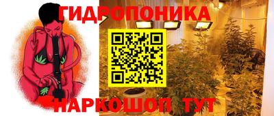 хмурый Гудермес