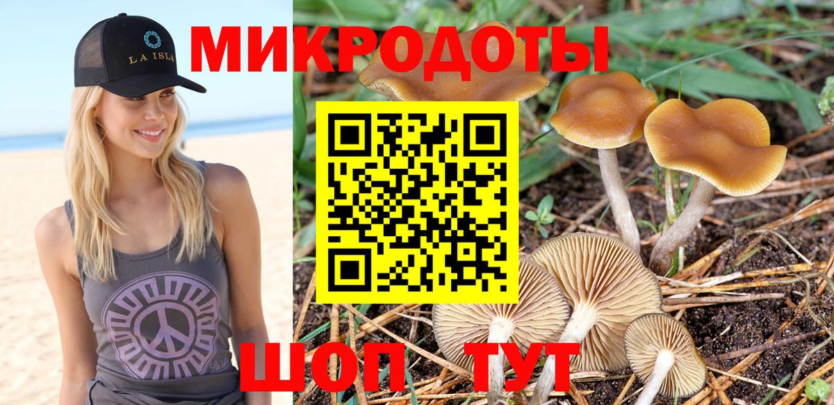 Галлюциногенные грибы MAGIC MUSHROOMS Саратов