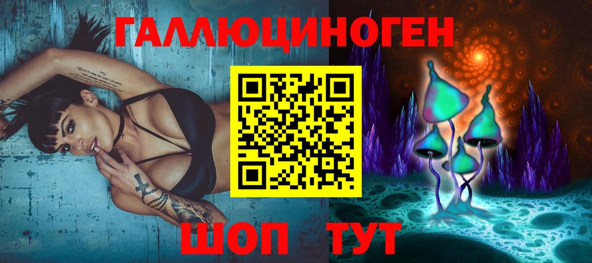 Галлюциногенные грибы Magic Shrooms  Вход с VPN  Саратов  Псилоцибиновые грибы прущие грибы 